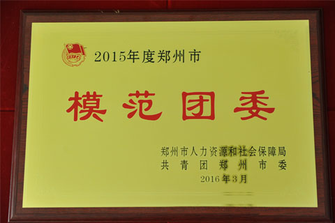 2015市模范团委