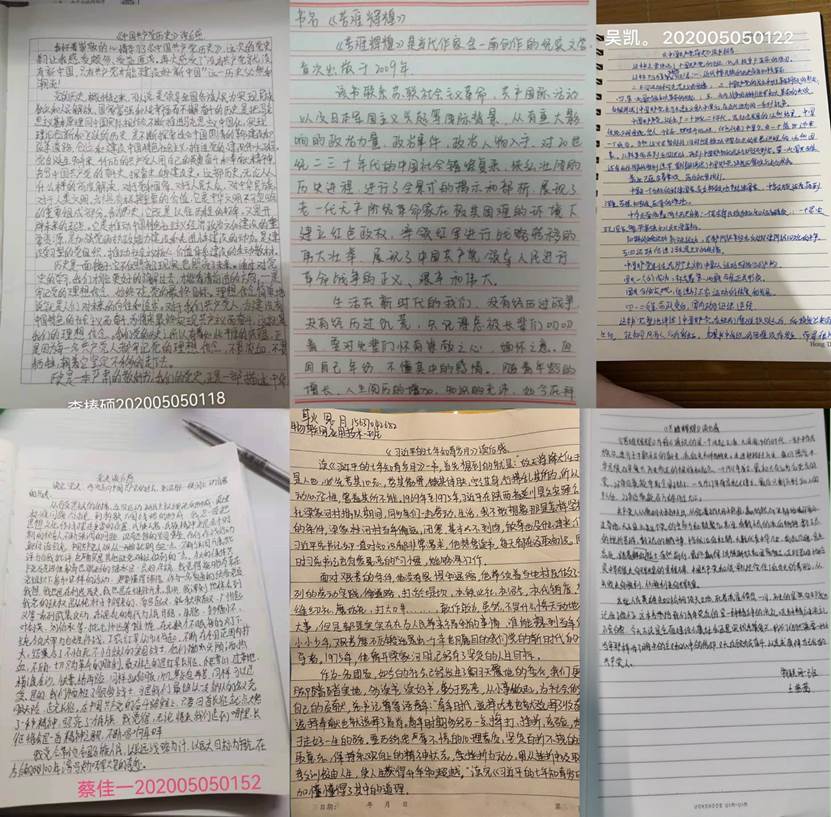 文本描述已自动生成