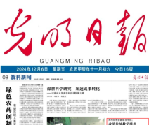媒体报道